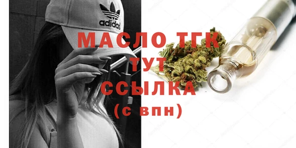 шишки Бородино